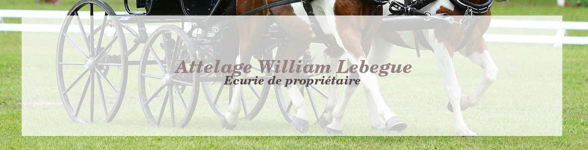 Attelage William Lebegue